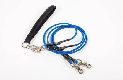 🔥🐕Double Bungee Leash - 1st step training tool
