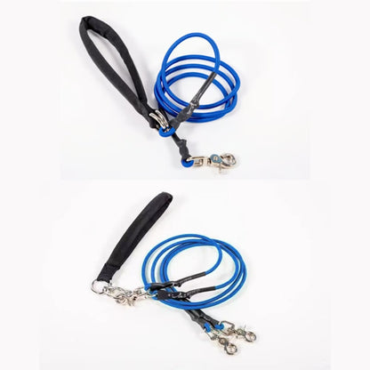 🔥🐕Double Bungee Leash - 1st step training tool