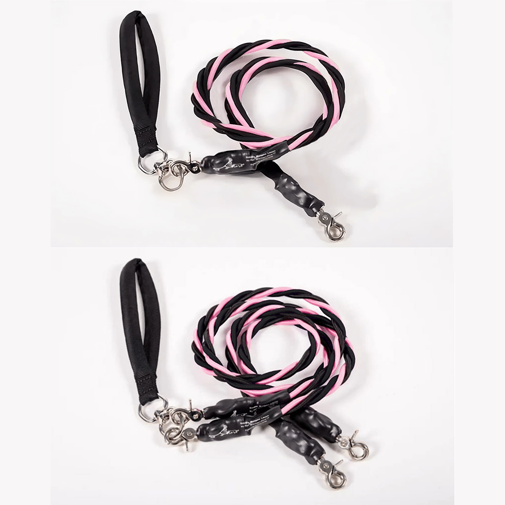 🔥🐕Double Bungee Leash - 1st step training tool