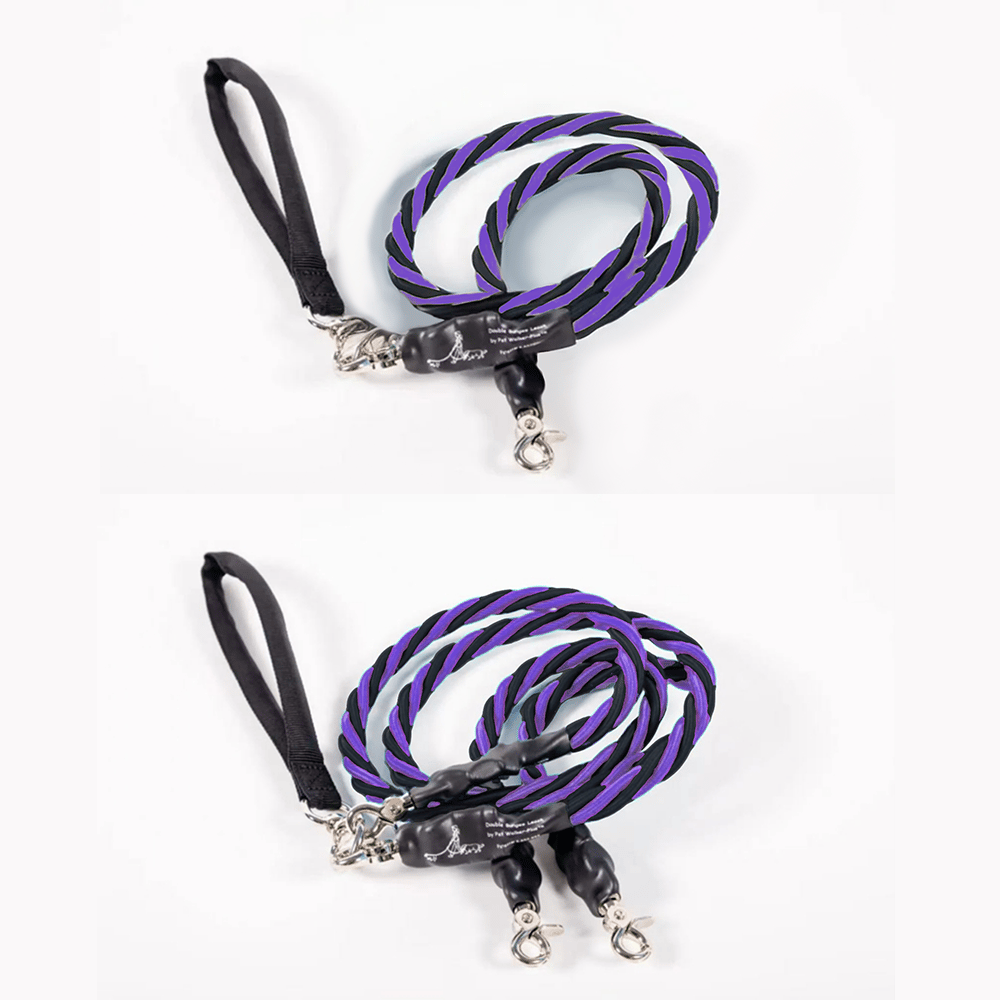 🔥🐕Double Bungee Leash - 1st step training tool