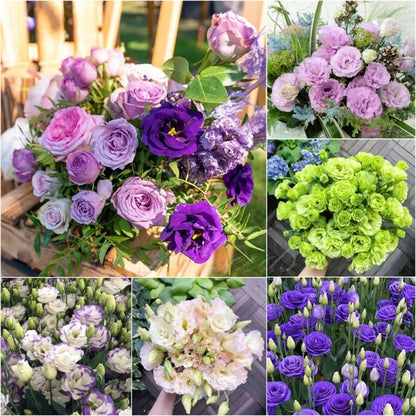 🔥🌺Low-maintenance Eustoma Flower Seeds🌈