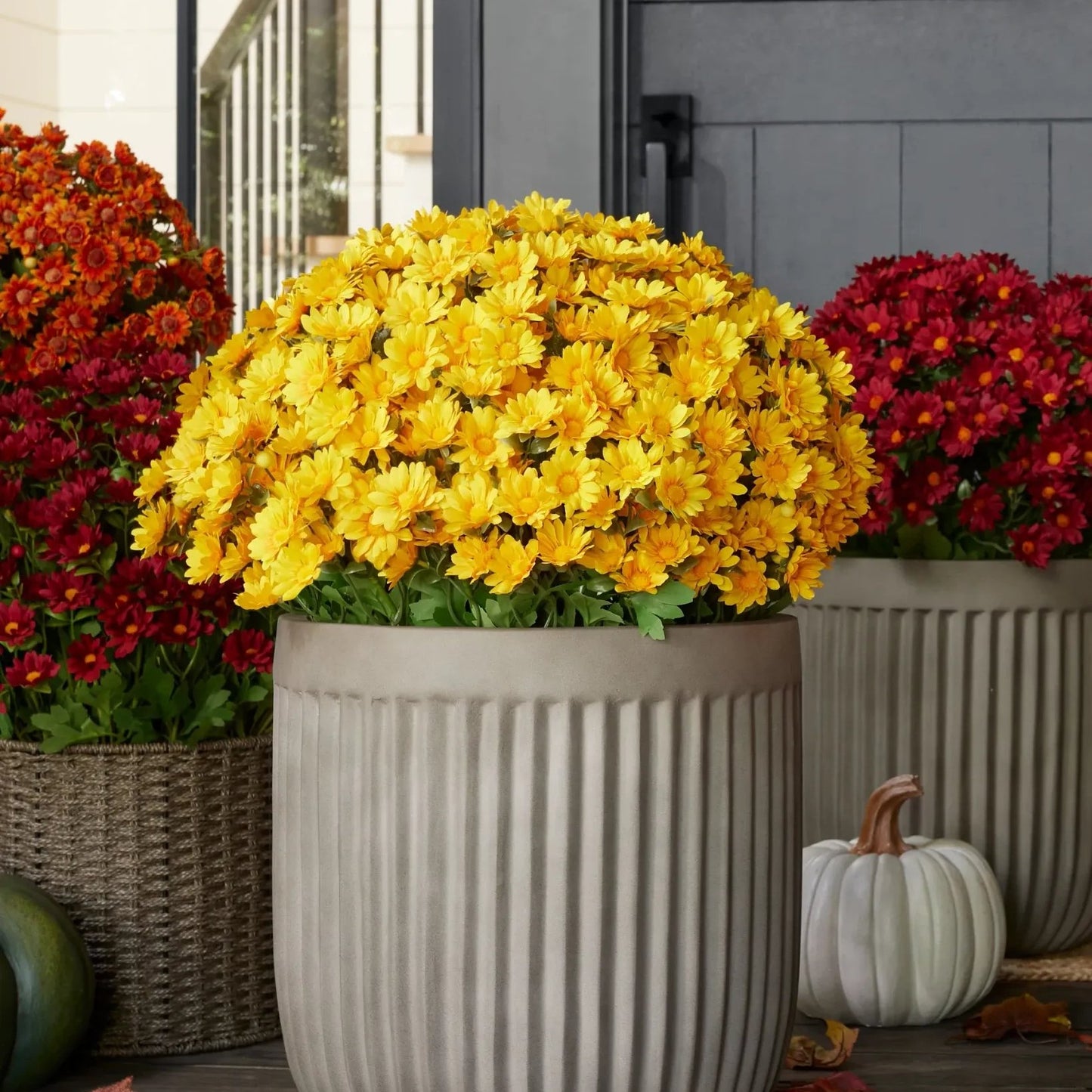 🏆Flash Sale⚡Artificial Outdoor Sunset Mums Flowers - UV resistant, Waterproof, Windproof