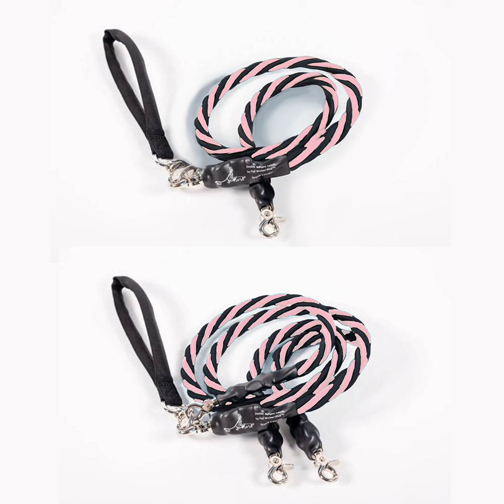 🔥🐕Double Bungee Leash - 1st step training tool