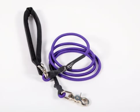🔥🐕Double Bungee Leash - 1st step training tool