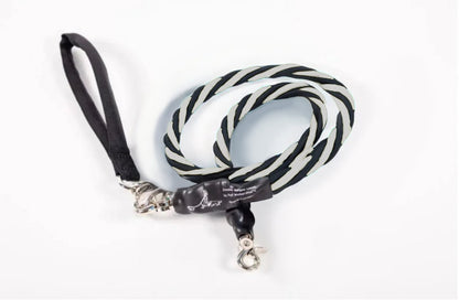 🔥🐕Double Bungee Leash - 1st step training tool