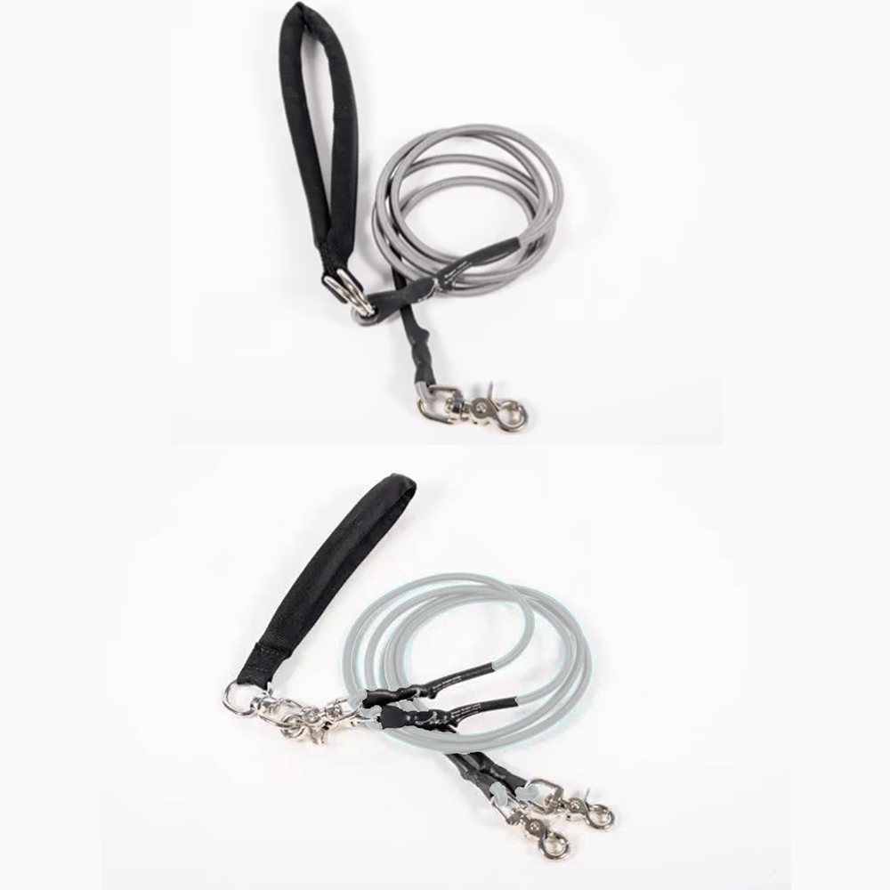 🔥🐕Double Bungee Leash - 1st step training tool